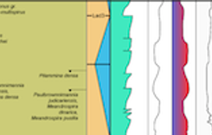 TimeScale Creator screenshot 1