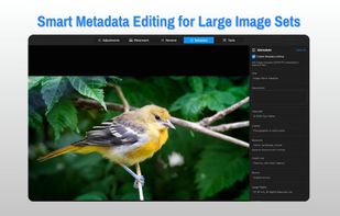 RapidPhoto screenshot 2
