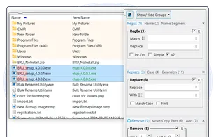 Bulk Rename Utility screenshot 1