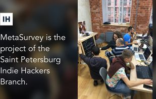 MetaSurvey screenshot 2