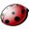 CSSED icon