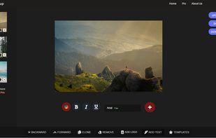 The Watermarkup application interface. 