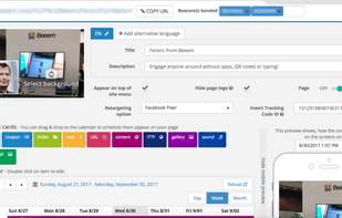 Page editor settings.