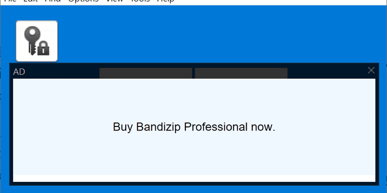 Bandizip archiver utility now has paid versions and ads for the free standard edition