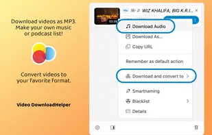 Video DownloadHelper screenshot 1