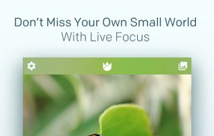 Live Focus screenshot 3