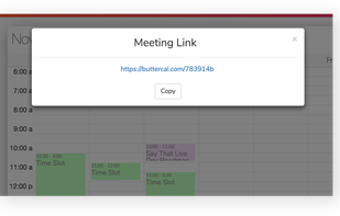 Send the meeting link