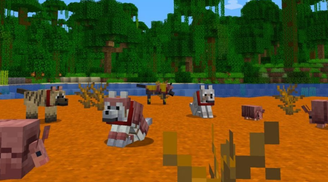 Minecraft v1.20.5 'Armored Paws' update introduces Armadillos, Wolf Armor, and more! image