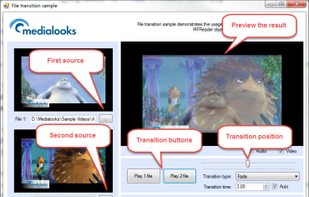 Medialooks MFormats SDK screenshot 2