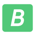 BriskSale.com icon