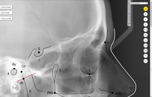 365Apex screenshot 3