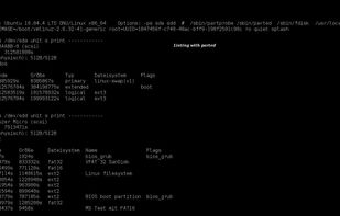 lsdisk screenshot 1