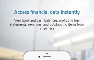 Exact for Accounting screenshot 2