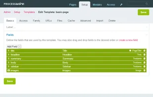 ProcessWire screenshot 3