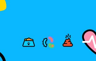 Petfetti screenshot 2