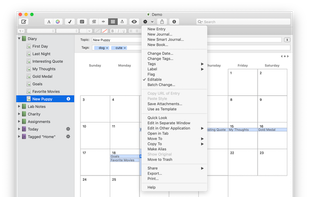 MacJournal screenshot 2