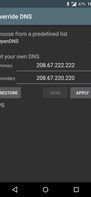 Override DNS screenshot 1