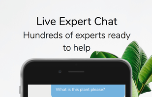 SmartPlant screenshot 2