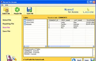 Kernel for Access Repair screenshot 2