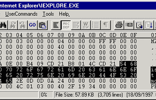 V - The File Viewer screenshot 2