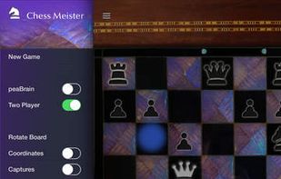Chess Meister screenshot 1