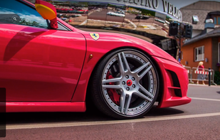 Charitable Exotics screenshot 3