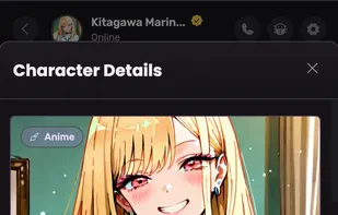 Profile section of Kitagawa marin