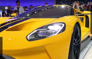 Charitable Exotics screenshot 1