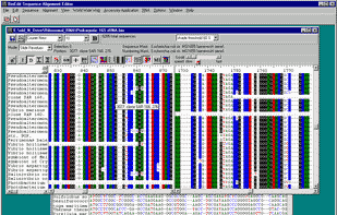 BioEdit screenshot 1