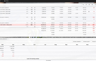 Overview of RUNALYZE