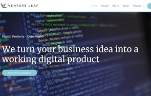 Venture Leap screenshot 1