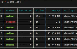 PM2 screenshot 1