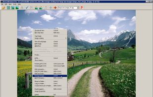 BreezeBrowser Pro screenshot 1