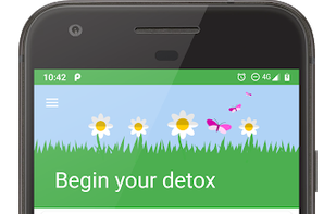 Digital Detox screenshot 3