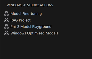 Windows AI Studio screenshot 1