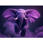 Dumbo icon