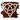 Patron Icon