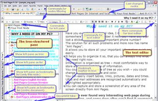 AML PAGES screenshot 2