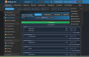 BizBooks Pro screenshot 2