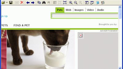 Saved webpage is shown