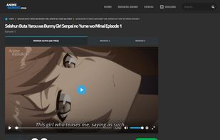 video stream