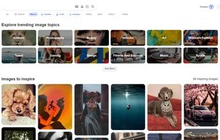 Bing Images screenshot 1