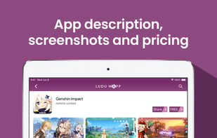 Ludu Mapp screenshot 2