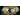 Encased Icon
