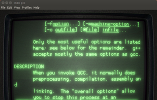 Cool Retro Term screenshot 1