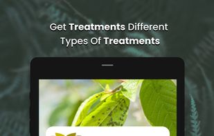 Plant Doctor : Disease Diagnosis screenshot 3