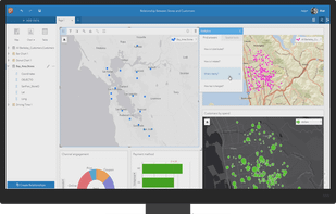 Insights for ArcGIS screenshot 2
