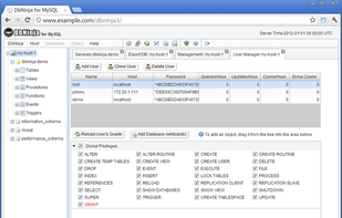 DbNinja screenshot 3