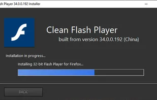Clean Flash Player screenshot 1
