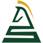 Chessvia AI icon